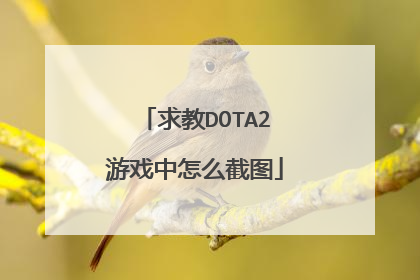 求教DOTA2游戏中怎么截图