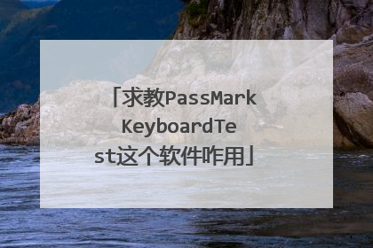 求教PassMark KeyboardTest这个软件咋用