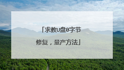 求教U盘0字节修复,量产方法