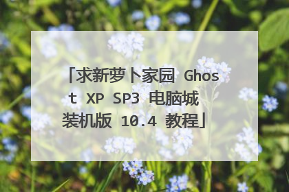 求新萝卜家园 Ghost XP SP3 电脑城装机版 10.4 教程