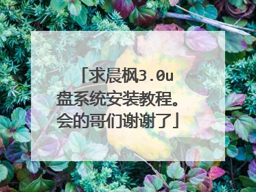 求晨枫3.0u盘系统安装教程。会的哥们谢谢了