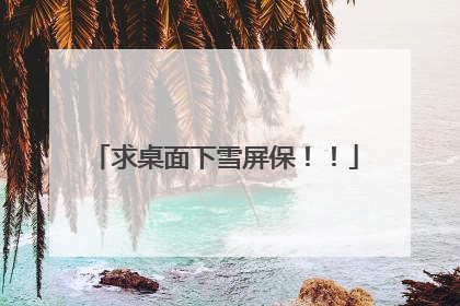 求桌面下雪屏保!!