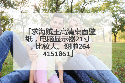 求海贼王高清桌面壁纸,电脑显示器21寸,比较大。谢啦2644151061