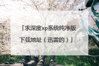 求深度xp系统纯净版下载地址(迅雷的)