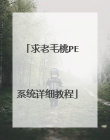求老毛桃PE系统详细教程