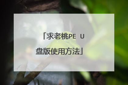 求老桃PE U盘版使用方法