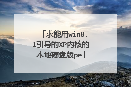 求能用win8.1引导的XP内核的本地硬盘版pe