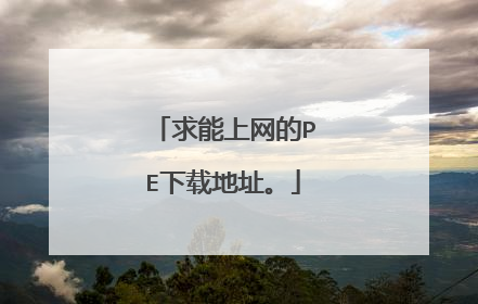 求能上网的PE下载地址。