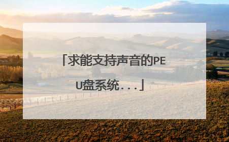 求能支持声音的PE U盘系统...