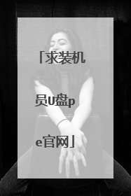 求装机员U盘pe官网