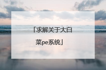 求解关于大白菜pe系统