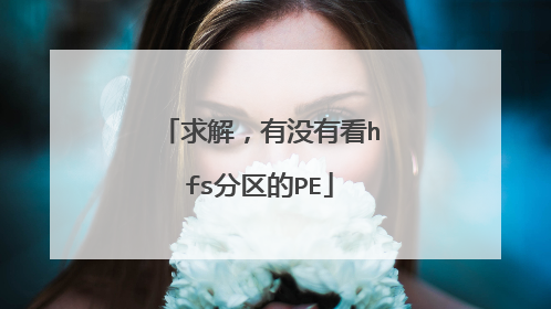 求解，有没有看hfs分区的PE