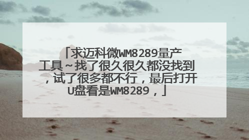求迈科微WM8289量产工具~找了很久很久都没找到,试了很多都不行,最后打开U盘看是WM8289,