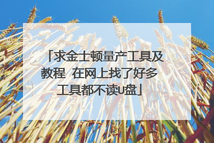 求金士顿量产工具及教程 在网上找了好多工具都不读U盘