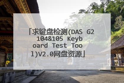 求键盘检测(DAS G2 104&105 Keyboard Test Tool)V2.0网盘资源
