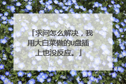 求问怎么解决,我用大白菜做的U盘插上也没反应。