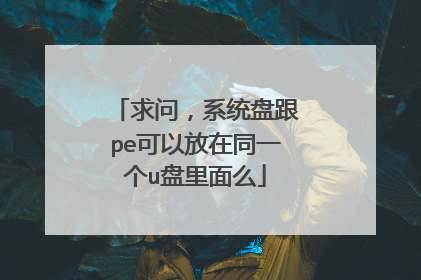 求问，系统盘跟pe可以放在同一个u盘里面么