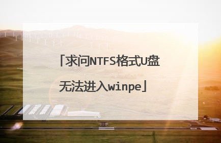 求问NTFS格式U盘无法进入winpe
