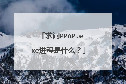 求问PPAP.exe进程是什么?