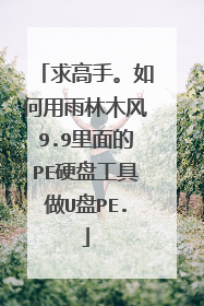 求高手。如何用雨林木风9.9里面的PE硬盘工具做U盘PE.