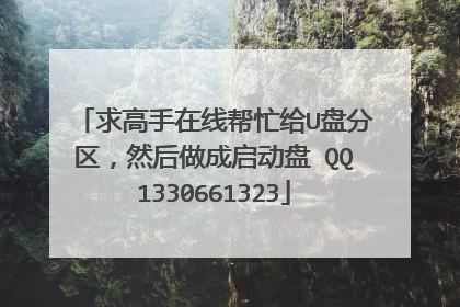 求高手在线帮忙给U盘分区，然后做成启动盘 QQ1330661323