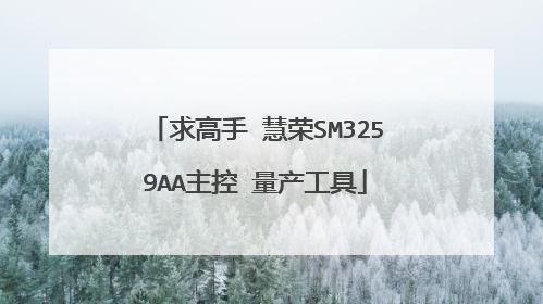 求高手 慧荣SM3259AA主控 量产工具