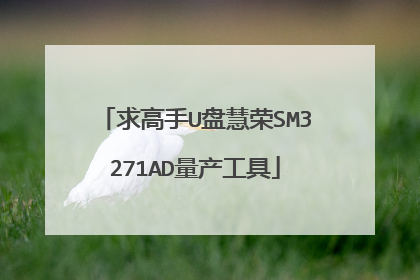 求高手U盘慧荣SM3271AD量产工具