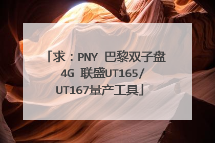 求:PNY 巴黎双子盘 4G 联盛UT165/UT167量产工具