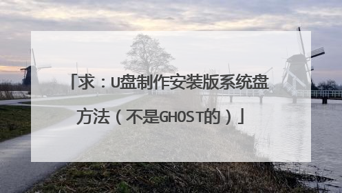 求:U盘制作安装版系统盘方法(不是GHOST的)