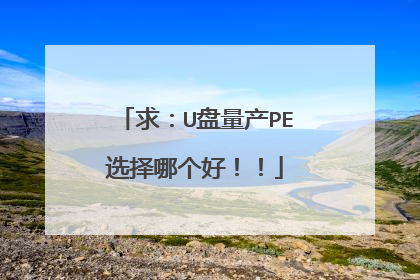 求：U盘量产PE选择哪个好！！