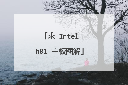 求 Intel h81 主板图解