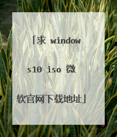 求 windows10 iso 微软官网下载地址