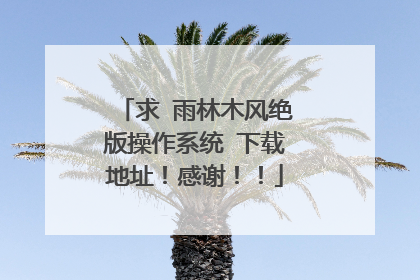 求 雨林木风绝版操作系统 下载地址!感谢!!
