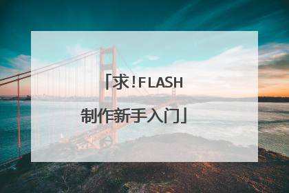 求!FLASH制作新手入门