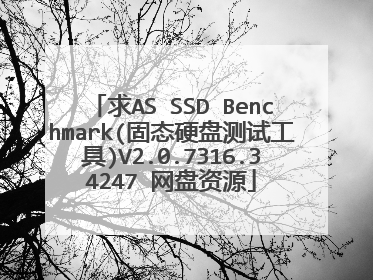 求AS SSD Benchmark(固态硬盘测试工具)V2.0.7316.34247 网盘资源