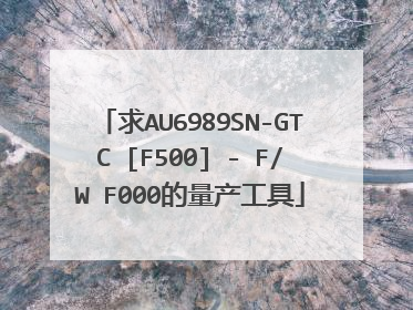 求AU6989SN-GTC [F500] - F/W F000的量产工具