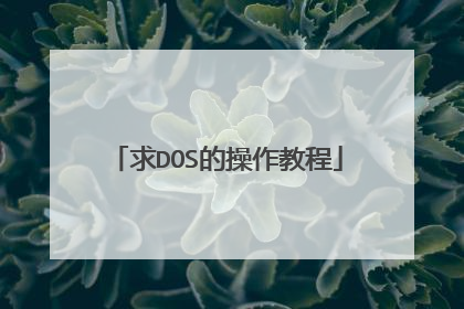 求DOS的操作教程