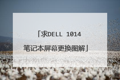 求DELL 1014笔记本屏幕更换图解
