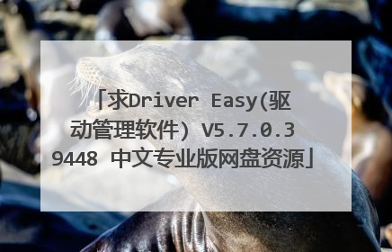 求Driver Easy(驱动管理软件) V5.7.0.39448 中文专业版网盘资源