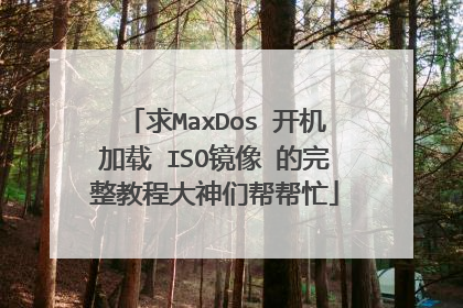 求MaxDos 开机加载 ISO镜像 的完整教程大神们帮帮忙