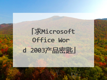求Microsoft Office Word 2003产品密匙