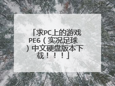 求PC上的游戏PE6(实况足球)中文硬盘版本下载!!!