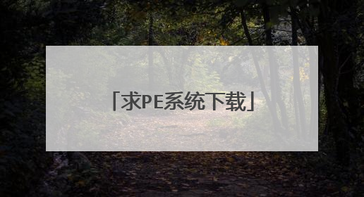 求PE系统下载