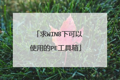 求WIN8下可以使用的PE工具箱
