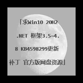求Win10 20H2 .NET 框架3.5=4.8 KB4598299更新补丁 官方版网盘资源