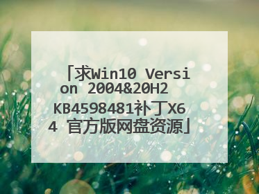 求Win10 Version 2004&20H2 KB4598481补丁X64 官方版网盘资源