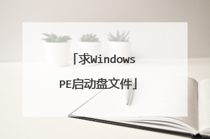 求WindowsPE启动盘文件
