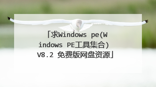 求Windows pe(Windows PE工具集合) V8.2 免费版网盘资源