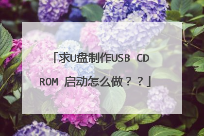 求U盘制作USB CDROM 启动怎么做??