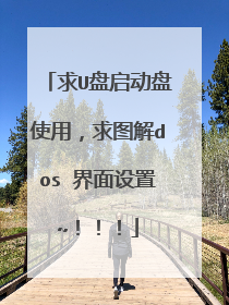 求U盘启动盘使用，求图解dos 界面设置~！！！